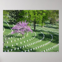 Springtime in Arlington National Cemetery