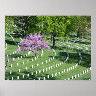 Springtime in Arlington National Cemetery Poster