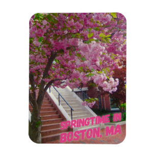 Springtime in Boston, MA Magnet