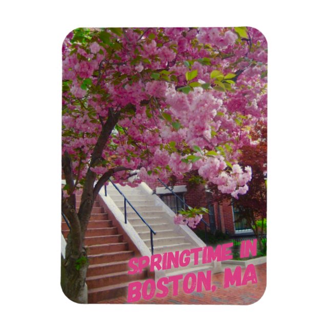 Springtime in Boston, MA Magnet (Vertical)