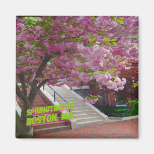 Springtime in Boston, MA Magnet