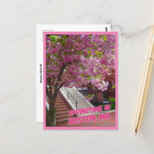 Springtime in Boston, MA Postcard