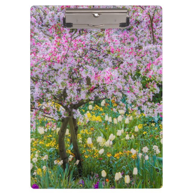 Springtime in Claude Monet's garden Clipboard (Front)