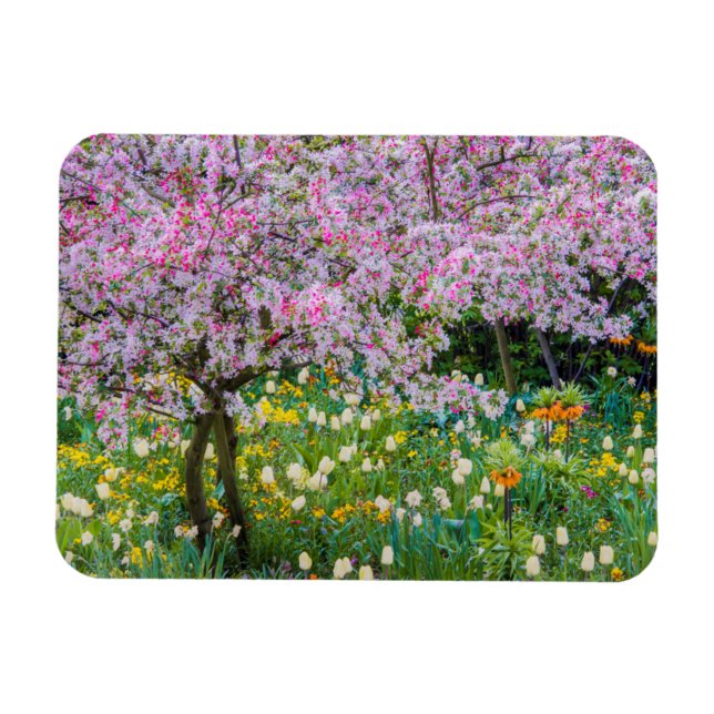Springtime in Claude Monet's garden Magnet (Horizontal)