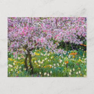 Springtime in Claude Monet's garden Postcard