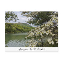 Springtime In The Catskills Postcard