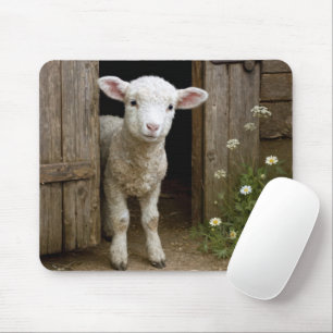 Springtime Lamb In Barn Door Mouse Pad