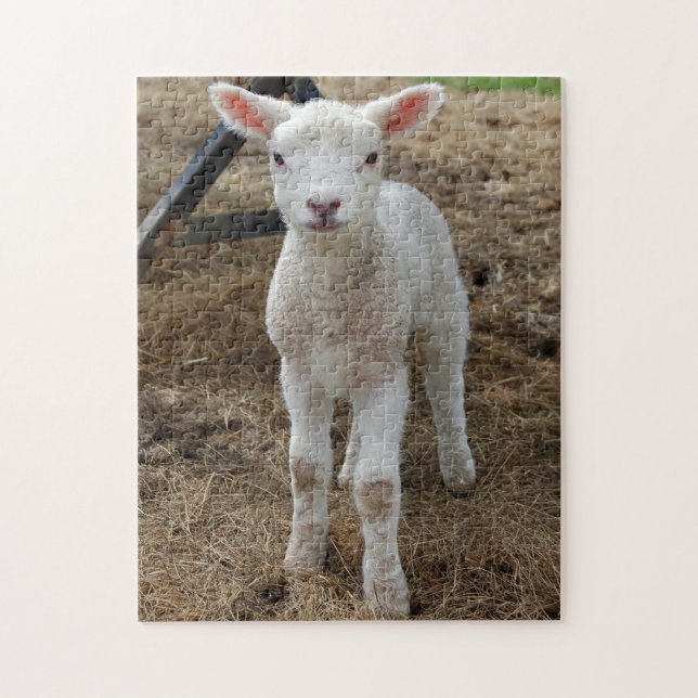 Springtime lamb jigsaw puzzle (Vertical)