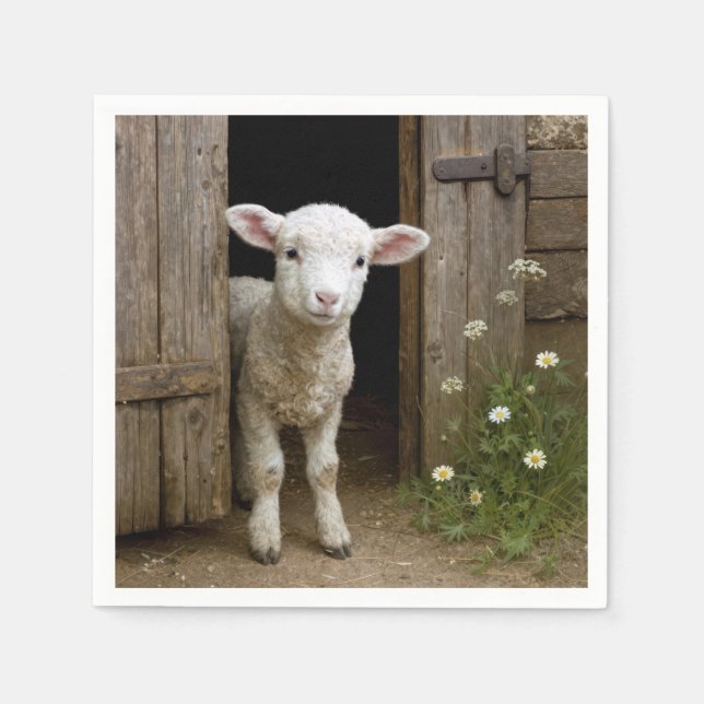 Springtime Lamb Standing In Barn Doorway Napkin (Front)
