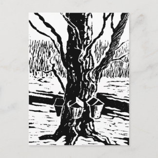 Springtime Magic Postcard