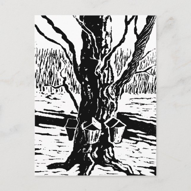 Springtime Magic Postcard (Front)