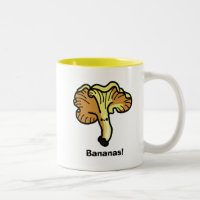 Springtime Mugs