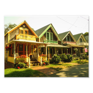 Springtime On Martha's Vineyard - MVCMA Photo Print