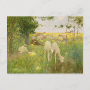 Springtime Postcard