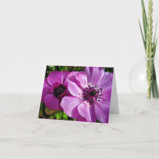Springtime Purple Anemone Note Card (Front)