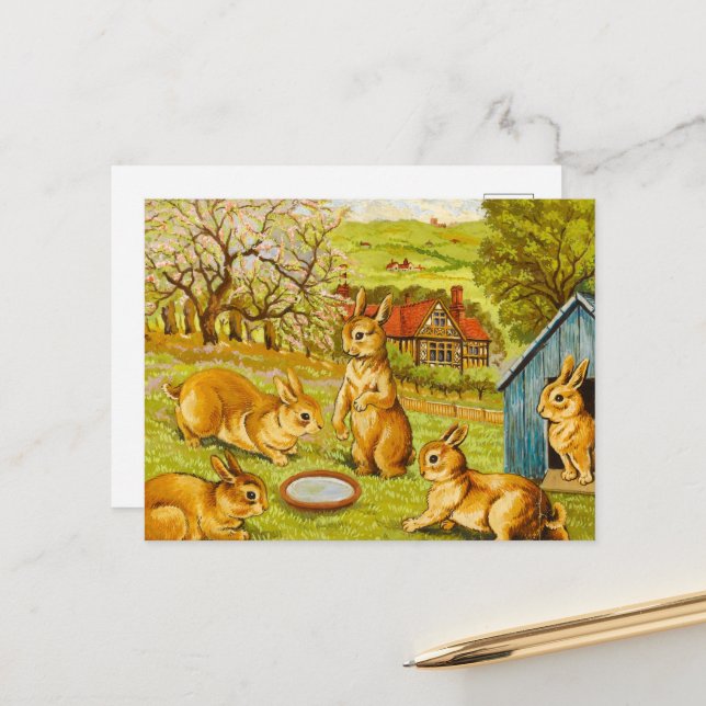 Springtime Rabbits by Louis Wain Holiday Postcard (Front/Back In Situ)