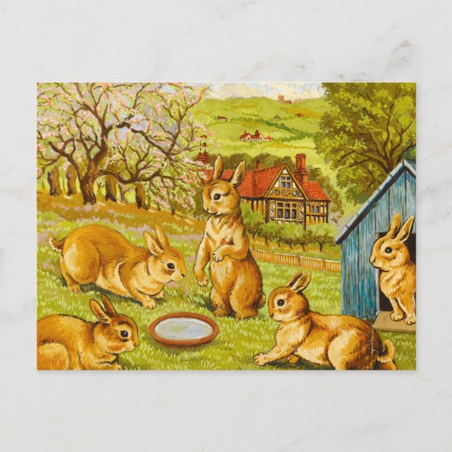 Springtime Rabbits by Louis Wain Postcard (Front)