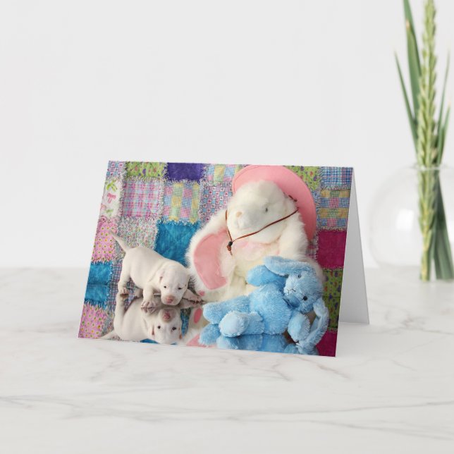 Springtime Reflection Card (Front)