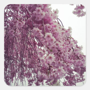 Springtime Square Sticker