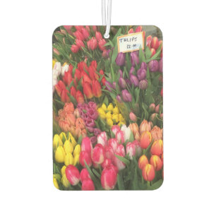 Springtime Tulips Tulip Flower NYC New York City Car Air Freshener