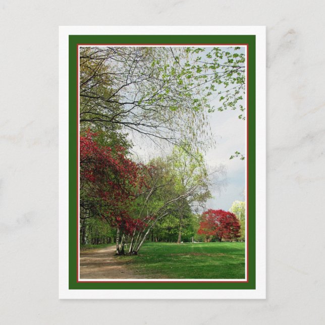 Springtime Walking Path Postcard (Front)