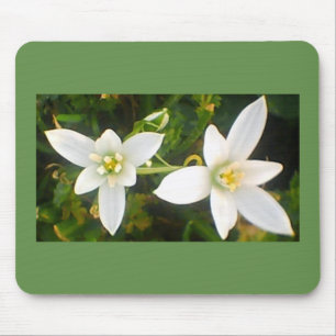Springtime White Flowering Blooms Mouse Pad