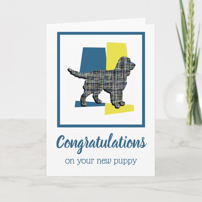 Sprocker Spaniel Dog Puppy Congratulations Card (Front)