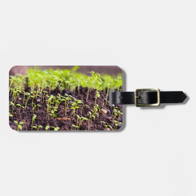 Sprouting grass luggage tag (Front Horizontal)