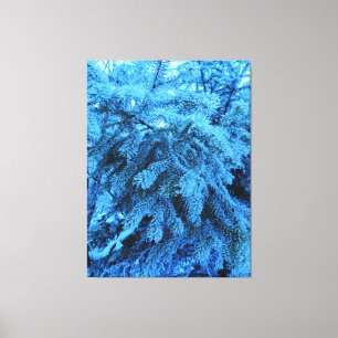 Spruce branches covered with snow & frost crystals canvas print