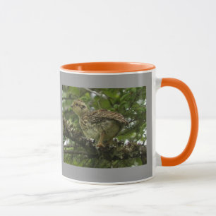 Spruce Grouse Chick Mug