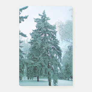 Spruce tree with ice post-it notes