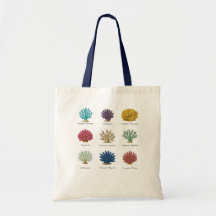 SPS Coral ID Vintage Botanical Illustration