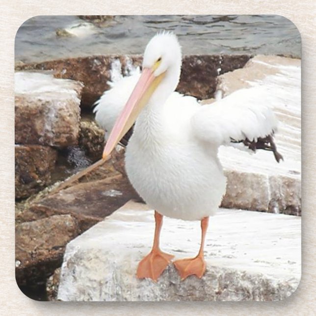 Spunky Pelican Coasters (Front)