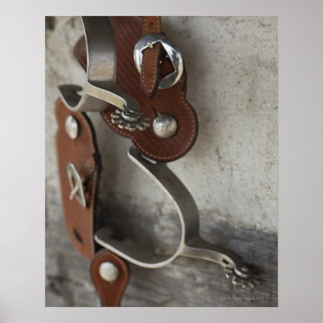 Spur hanging on wall of log cabin poster (Front)