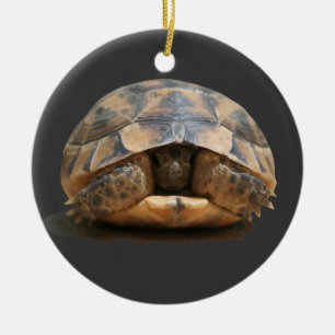 Spur-Thighed Tortoise Retracting Ceramic Tree Decoration