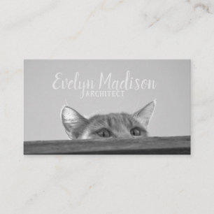 Spy Cat Business Card