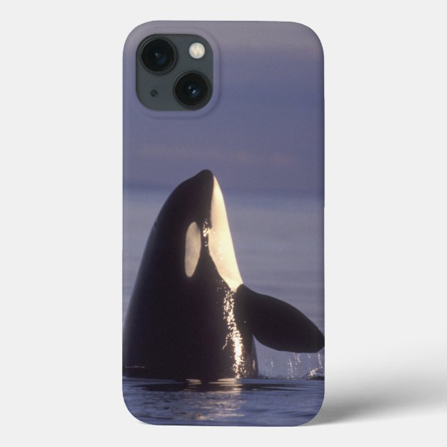 Spyhopping Orca Killer Whale (Orca orcinus) near Case-Mate iPhone Case (Back)