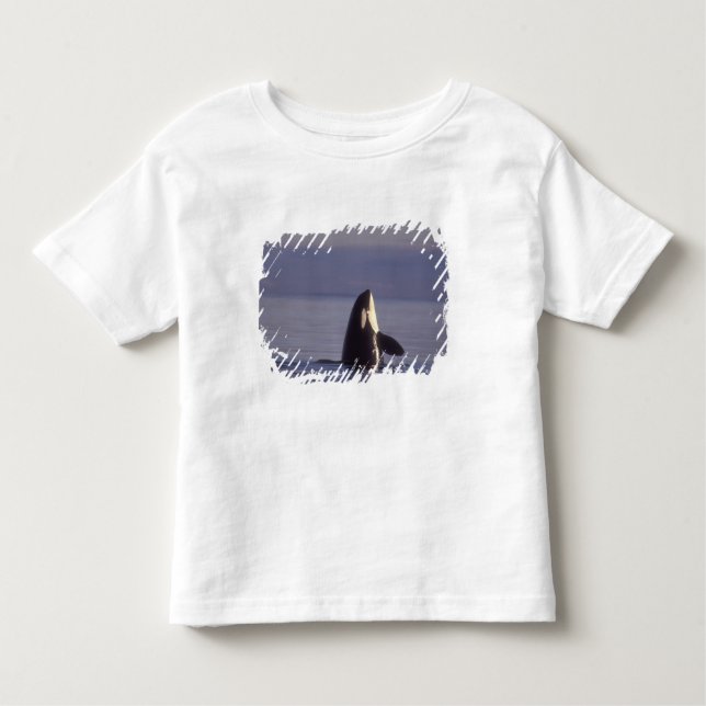 Spyhopping Orca Killer Whale (Orca orcinus) near Toddler T-Shirt (Front)
