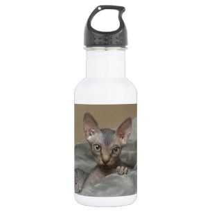 Spynx kitten 532 ml water bottle
