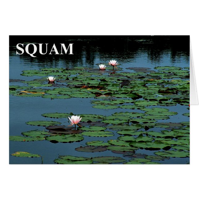 Squam Lake Lilies (Front Horizontal)