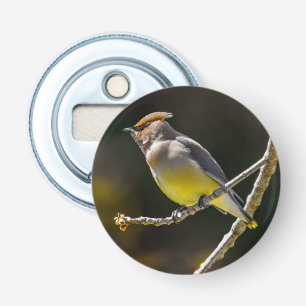 square2 bottle opener