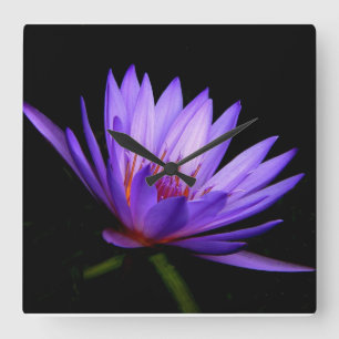 Square Clock, Dark Side of the Purple Water Lily Wall Clock