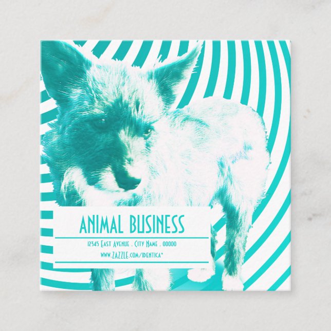 square crazy hazie pet appointment reminder card (Front)