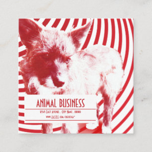 square crazy pup pet appointment reminder card