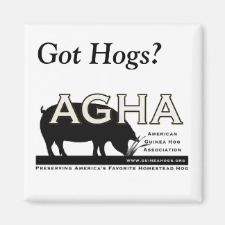 Square "Got Hogs?" magnet