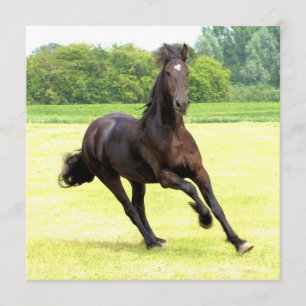 Square Invitation - Customised