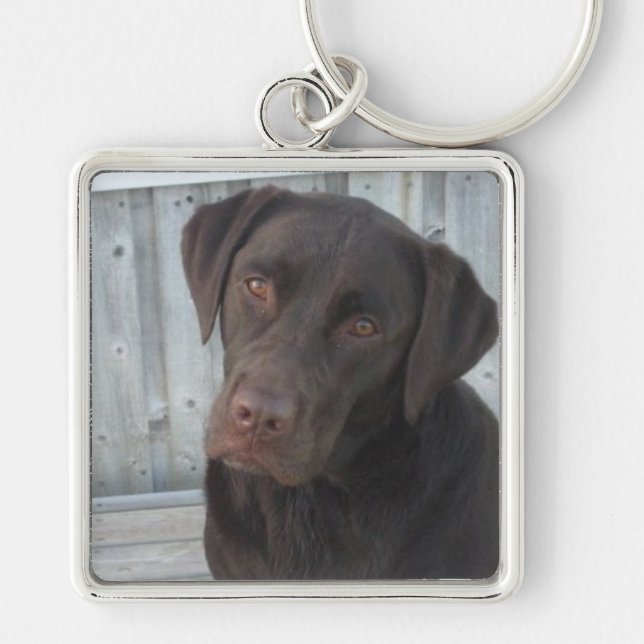 Square Keychain - Chocolate Lab (Front)