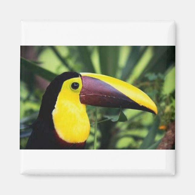 Square Magnet (Front)