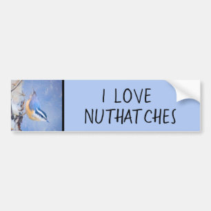 square (name) bumper sticker