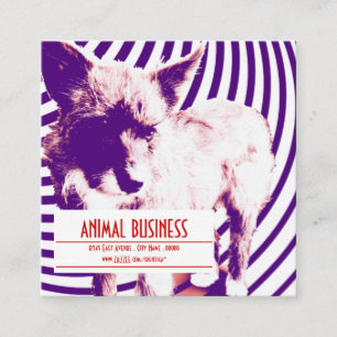 square pet appointment reminder card